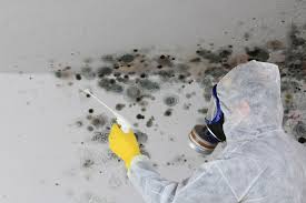 Professional Mold Remediation in Milford, DE